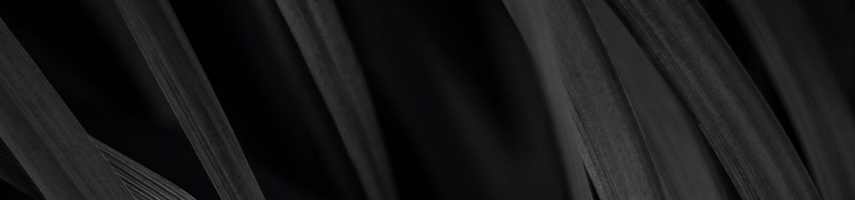 custom-header